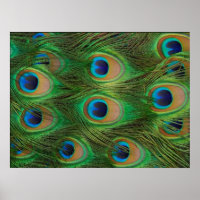Peafowl- / Peacock-afdrukken