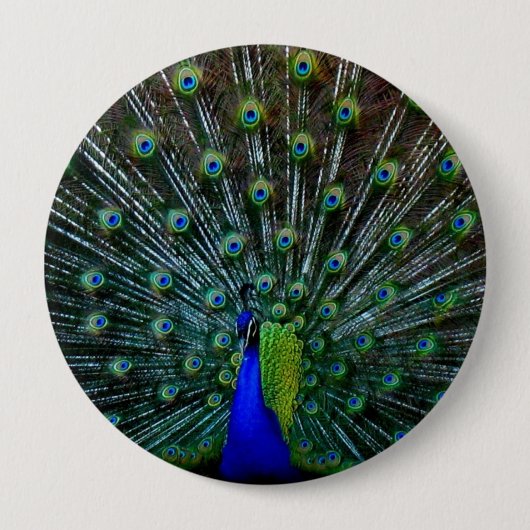 "Peafowl Plumage" Pin Ronde Button 4,0 Cm (Voorkant)