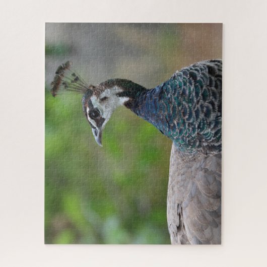 Peafowl puzzel (Verticaal)
