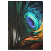 Peakcock Veer dichtbij en persoonlijk Klembord (Achterkant)