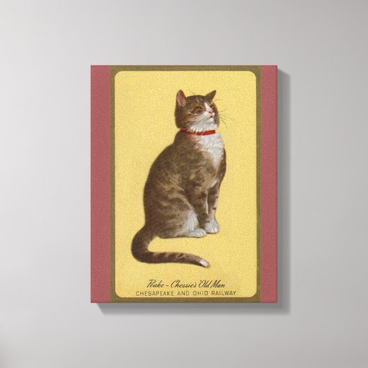 Peake, Chessie's Old Man tomcat tabby cat Canvas Afdruk (Voorkant)