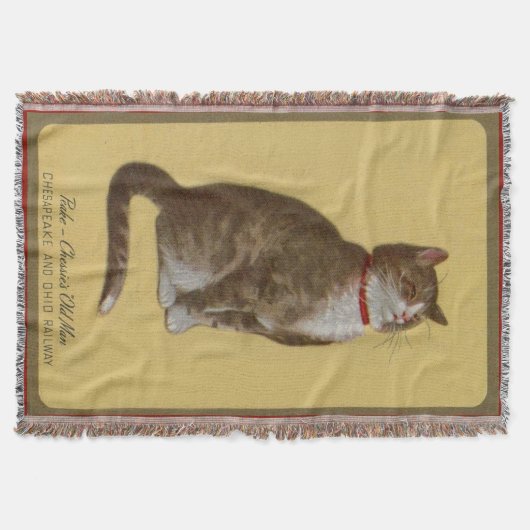 Peake, Chessie's Old Man tomcat tabby cat Deken (Voorkant)