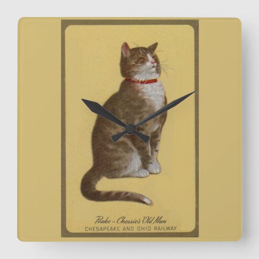 Peake, Chessie's Old Man tomcat tabby cat kat Vierkante Klok (Voorkant)