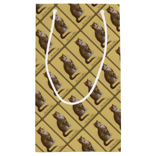 Peake, Chessie's Old Man tomcat tabby cat Klein Cadeauzakje (Achterkant)