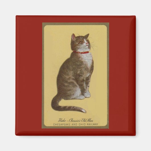 Peake, Chessie's Old Man tomcat tabby cat Magneet (Voorkant)