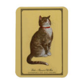 Peake, Chessie's Old Man tomcat tabby cat Magneet (Verticaal)