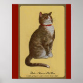 Peake, Chessie's Old Man tomcat tabby cat Poster (Voorkant)