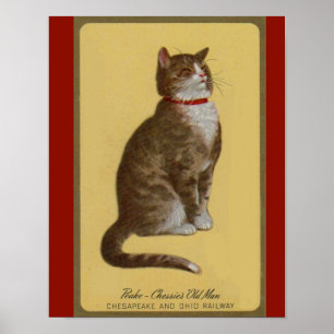 Peake, Chessie's Old Man tomcat tabby cat Poster