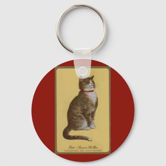 Peake, Chessie's Old Man tomcat tabby cat Sleutelhanger (Voorkant)