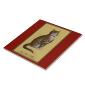 Peake, Chessie's Old Man tomcat tabby cat Tegeltje (Zijkant)