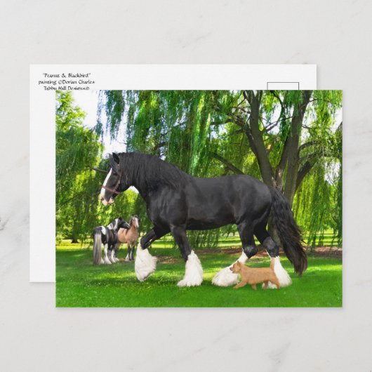 "Peanut & Blackbird"  Briefkaart (Voorkant / Achterkant)