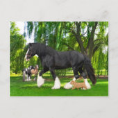 "Peanut & Blackbird"  Briefkaart (Voorkant)