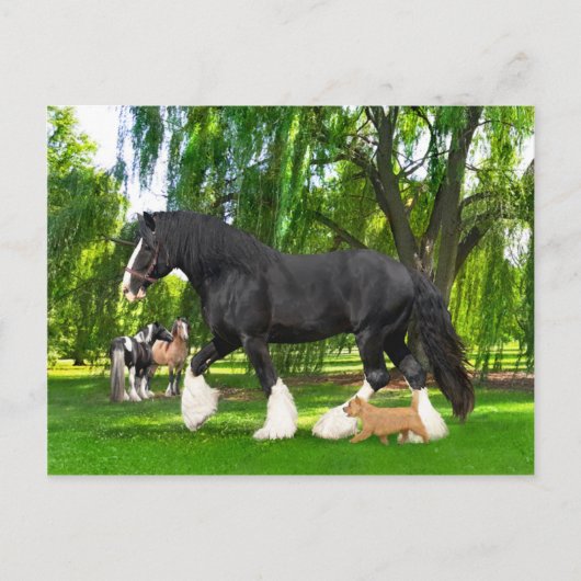 "Peanut & Blackbird"  Briefkaart (Voorkant)