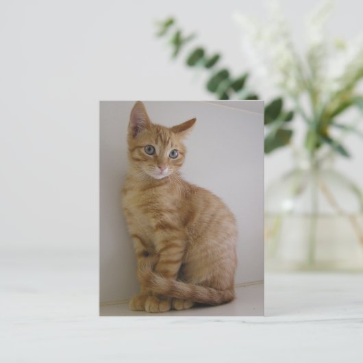 Peanut Briefkaart (Staand voorkant)