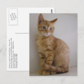 Peanut Briefkaart (Voorkant / Achterkant)