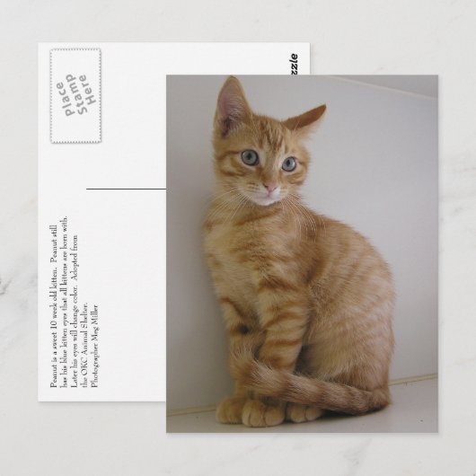 Peanut Briefkaart (Voorkant / Achterkant)