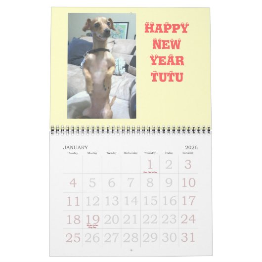Peanut de Chiweenie Kalender (Jan 2026)