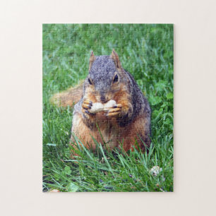 Peanut foto van de eekhoorn legpuzzel