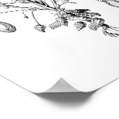 Peanut Illustratie Poster (Hoek)