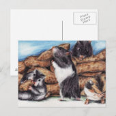 Peanut Masons (hamster) Briefkaarten (Voorkant / Achterkant)