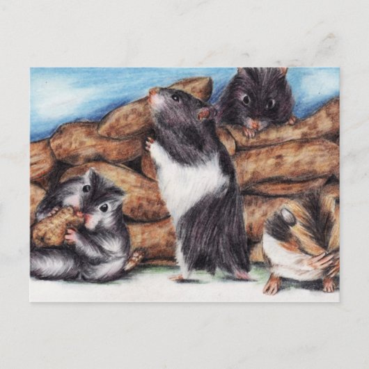Peanut Masons (hamster) Briefkaarten (Voorkant)