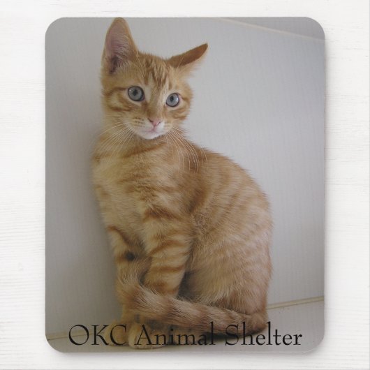 Peanut Muismat (Voorkant)