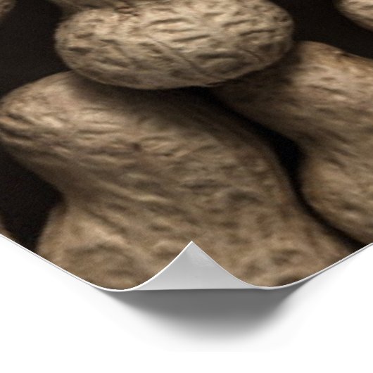 Peanut Poster (Hoek)