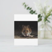Peanut the Wood Mouse Briefkaart (Staand voorkant)