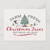 Peanuts | Boerderij Verse kerstbomen
