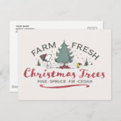 Peanuts | Boerderij Verse kerstbomen Briefkaart (Voorkant / Achterkant)