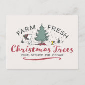 Peanuts | Boerderij Verse kerstbomen Briefkaart (Voorkant)