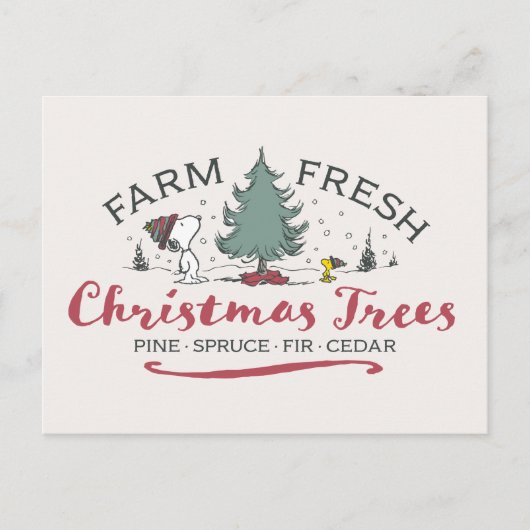 Peanuts | Boerderij Verse kerstbomen Briefkaart (Voorkant)