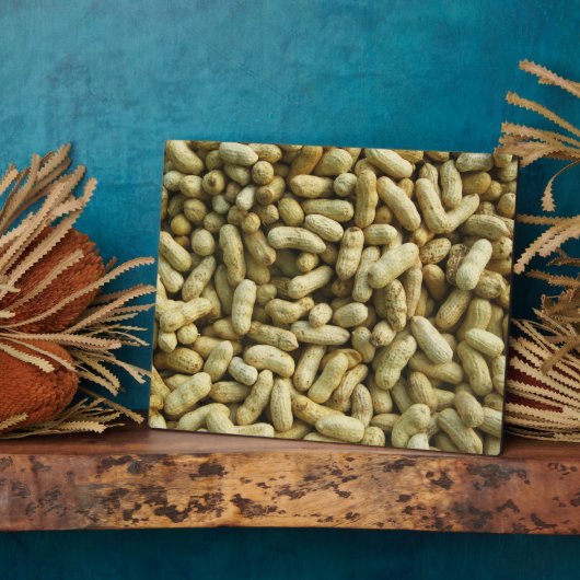 Peanuts Fotoplaat (Zijkant)