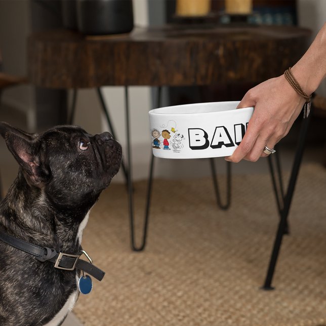 Peanuts Gang Group Lineup Voerbakje (Creator heeft geüpload)