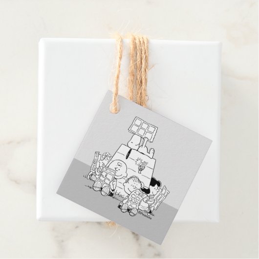 Peanuts Gang Reading Comics Bedankjes Labels (In situ)