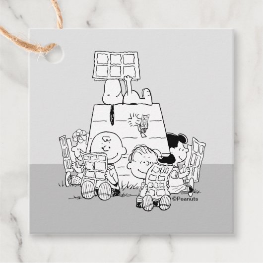 Peanuts Gang Reading Comics Bedankjes Labels (Voorkant)