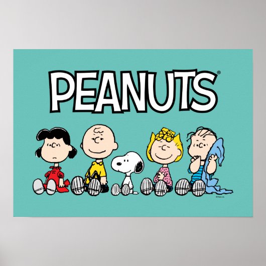 Peanuts Gang Sitting Together Poster (Voorkant)