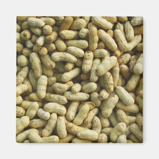 Peanuts Magneet (Voorkant)