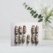 Peanuts nog steeds fijne foto van foto's briefkaart (Staand voorkant)