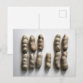 Peanuts nog steeds fijne foto van foto's briefkaart (Voorkant / Achterkant)