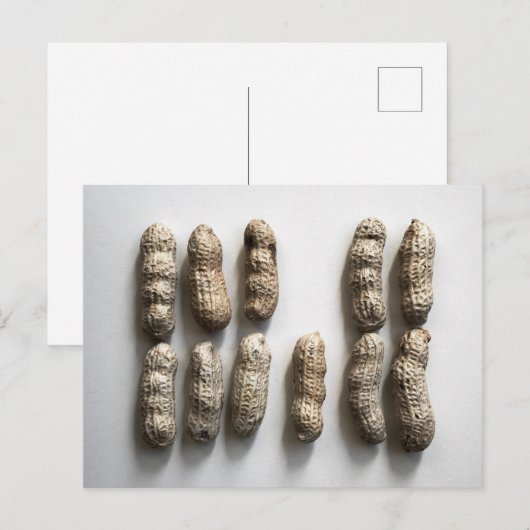 Peanuts nog steeds fijne foto van foto's briefkaart (Voorkant / Achterkant)