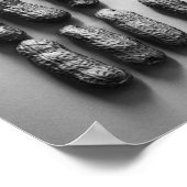 Peanuts nog steeds fijne foto van foto's poster (Hoek)