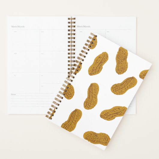 Peanuts Planner (Display)