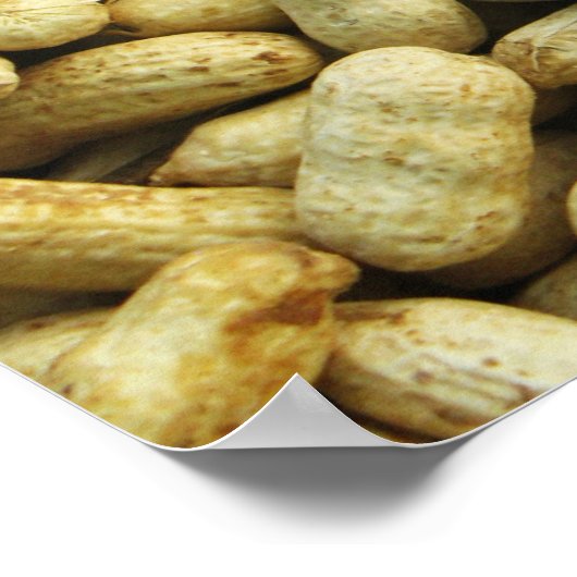 Peanuts Poster (Hoek)