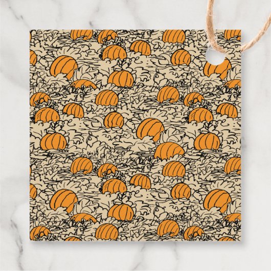 Peanuts Pumpkin Baby shower - Dank u wel Bedankjes Labels (Achterkant)