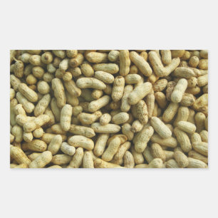 Peanuts Rechthoekige Sticker