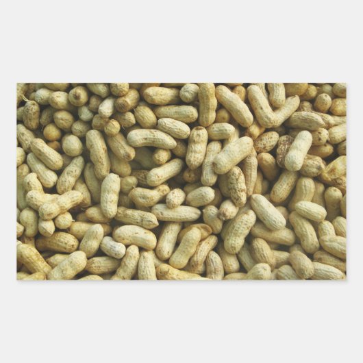 Peanuts Rechthoekige Sticker (Voorkant)