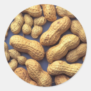 Peanuts Ronde Sticker