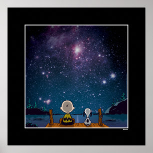 Peanuts Snoopy & Charlie Brown Sterren Kijken Poster