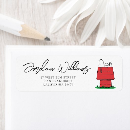 Peanuts Snoopy Dog House | BABY SHOWER Etiket (Insitu)